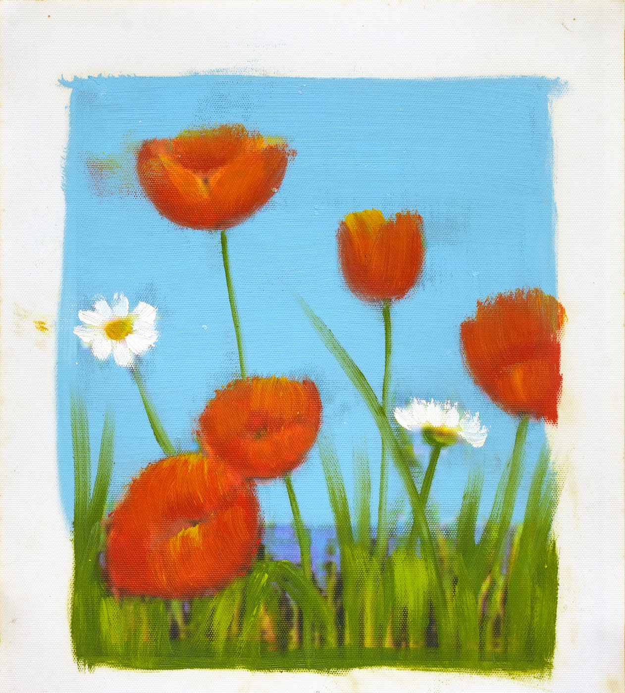 Poppies and Daisies Against Blue Floral Oil Painting