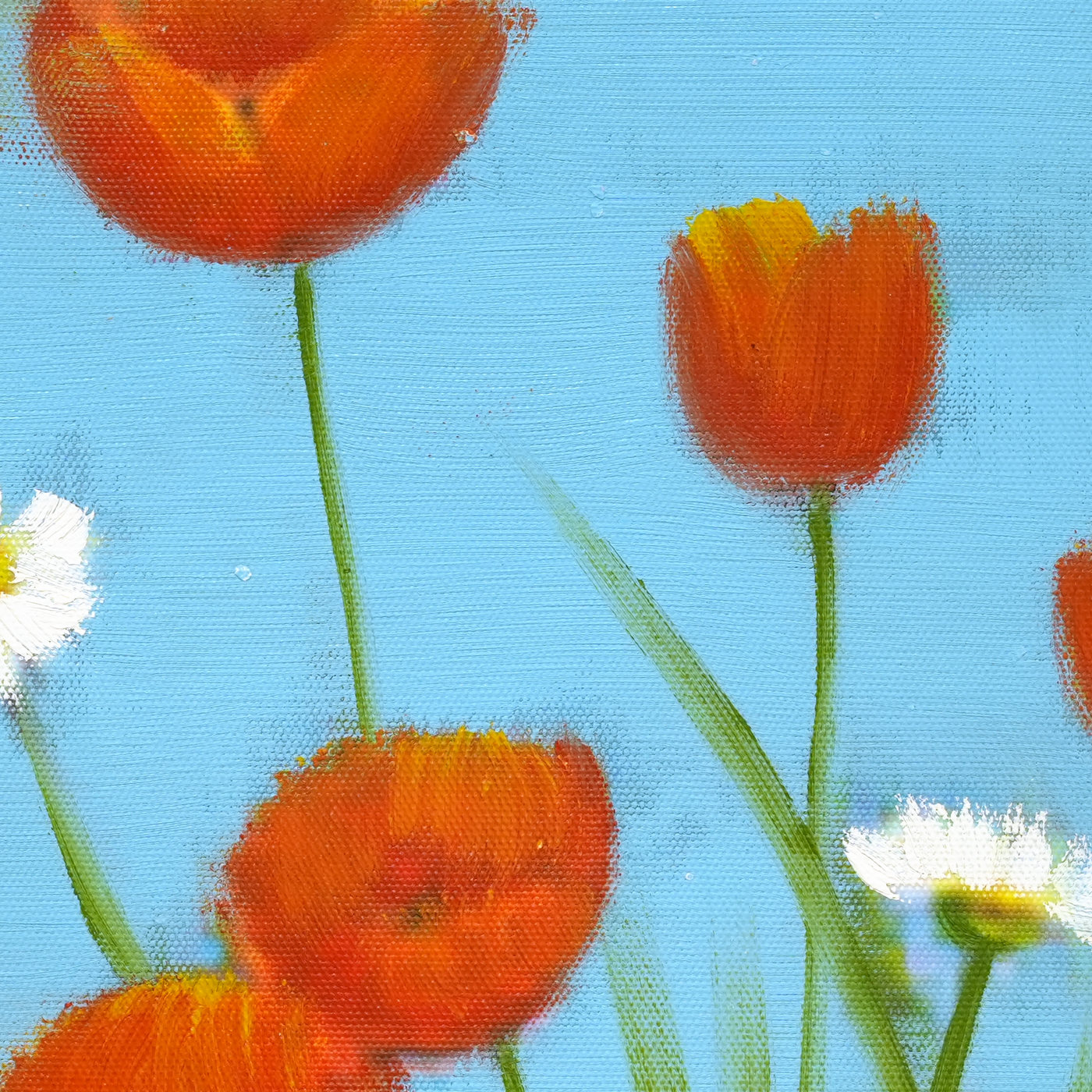 Poppies and Daisies Against Blue Floral Oil Painting - Brushwork detail