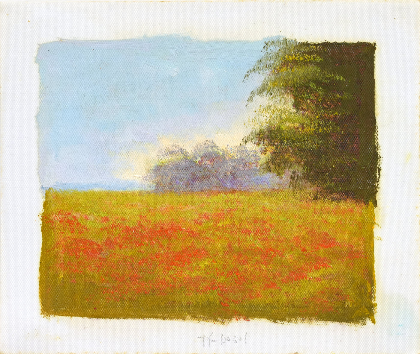 Red Flower Meadow and Open Sky Landscape Oil Painting